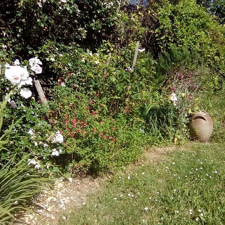 Tatil Evi Les Volets Bleus *